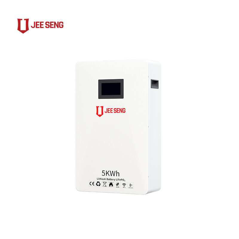 5 KWh Wand-Energiespeichersystem für Zuhause mit fortschrittlicher BMS-Technologie für Solarstromsystem