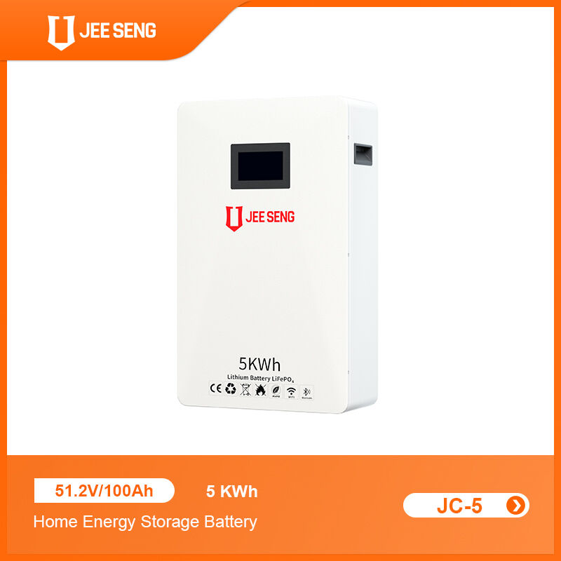 5 KWh Wand-Energiespeichersystem für Zuhause mit fortschrittlicher BMS-Technologie für Solarstromsystem