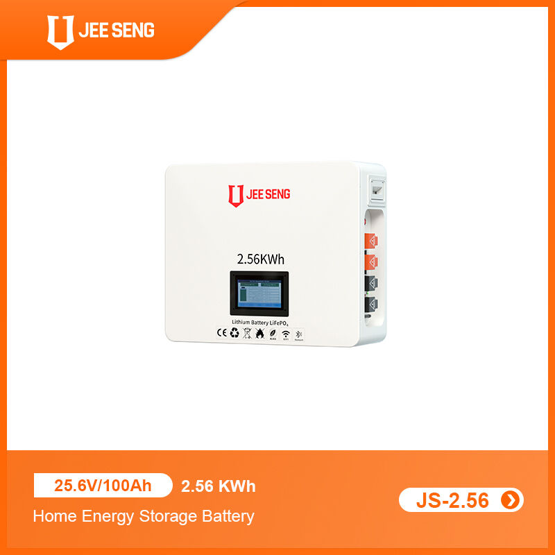 2.56 KWh Wandmontiertes Energiespeichersystem für Zuhause mit fortschrittlicher BMS-Technologie für Solarstromsystem