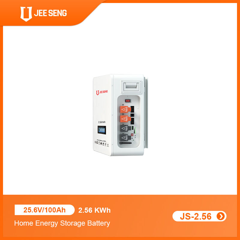 2.56 KWh Wandmontiertes Energiespeichersystem für Zuhause mit fortschrittlicher BMS-Technologie für Solarstromsystem