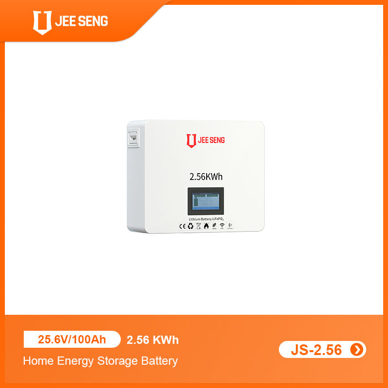 2.56 KWh Wandmontiertes Energiespeichersystem für Zuhause mit fortschrittlicher BMS-Technologie für Solarstromsystem